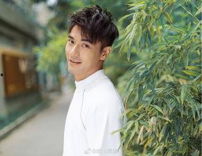 娱乐圈吃瓜爆料郑凯是谁,娱乐圈吃瓜爆料中的焦点人物